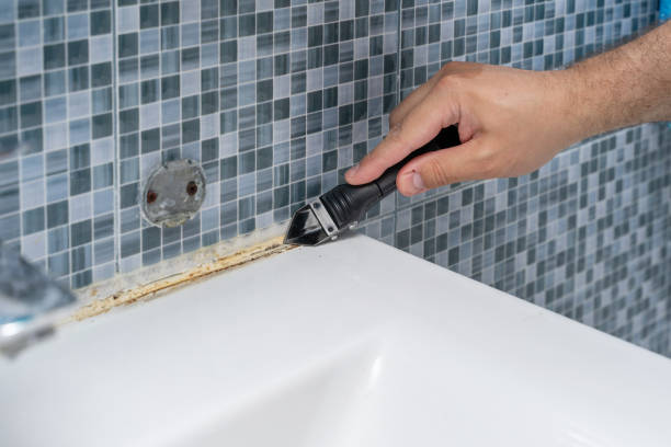 Best Black Mold Removal  in Manteo, NC